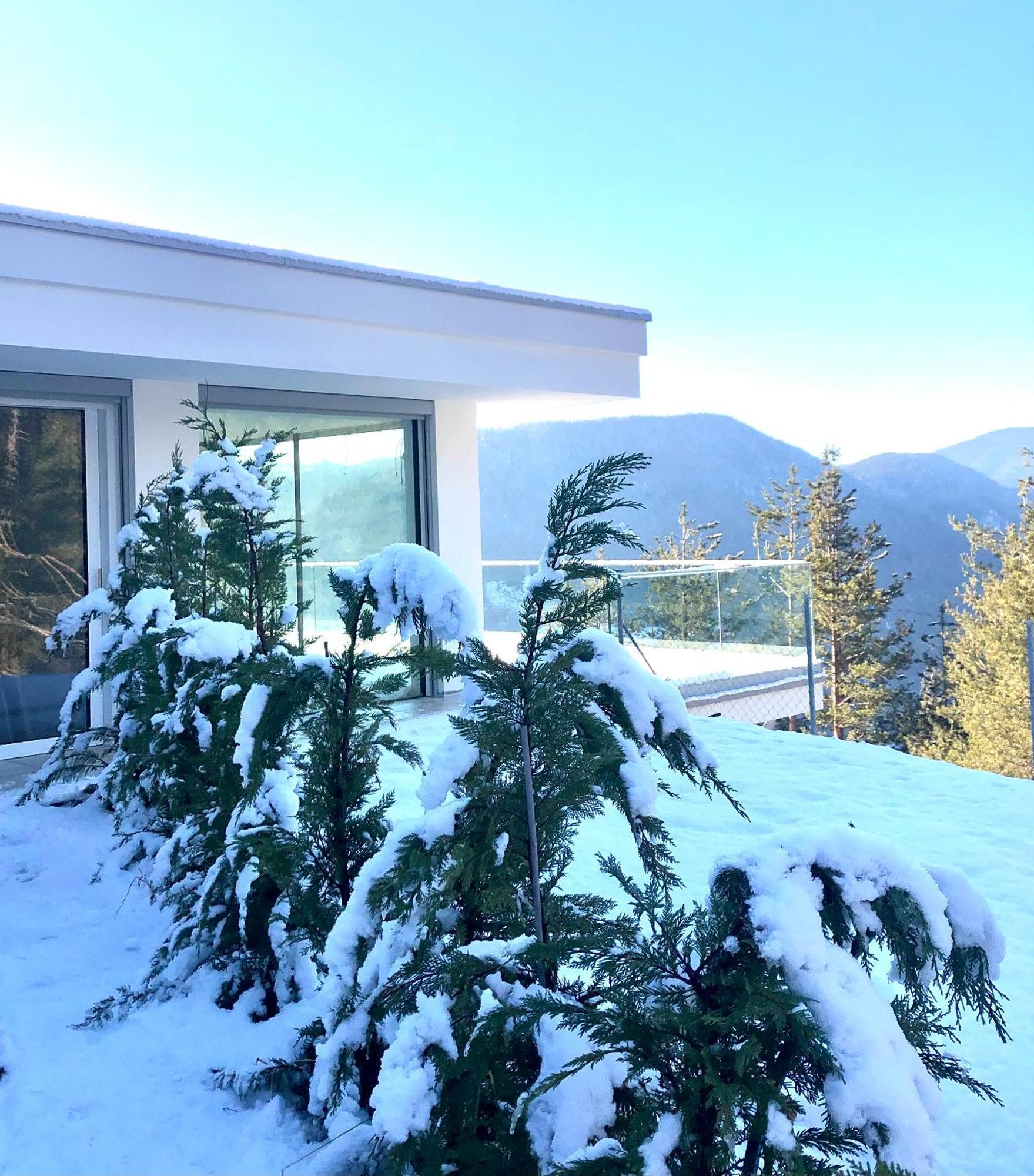 Chalet Tschattlhof Dolomites Cavalese Exterior photo