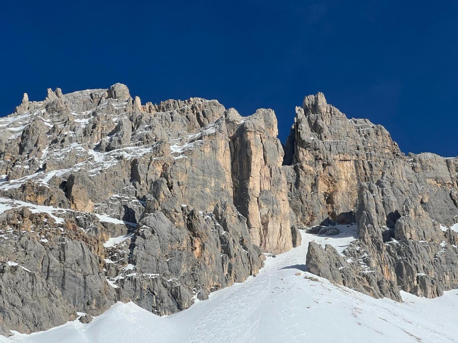 Chalet Tschattlhof Dolomites Cavalese Exterior photo