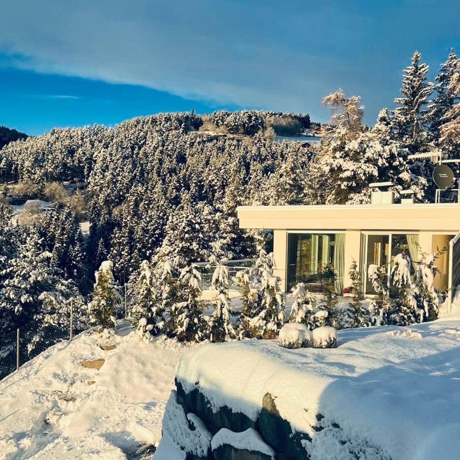 Chalet Tschattlhof Dolomites Cavalese Exterior photo